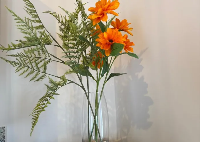 Barbosa * Quintiães